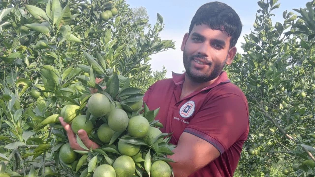 পড়ালেখার পাশাপাশি মাল্টা চাষ ফাহিমের, বছরে আয় ১২ লাখ টাকা