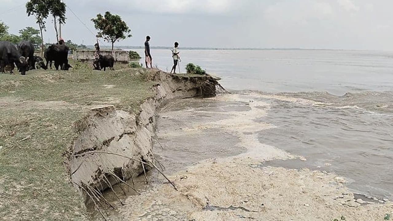 পদ্মার ভাঙনে দুই সপ্তাহে নদীর পেটে ৩০০ বিঘা জমি