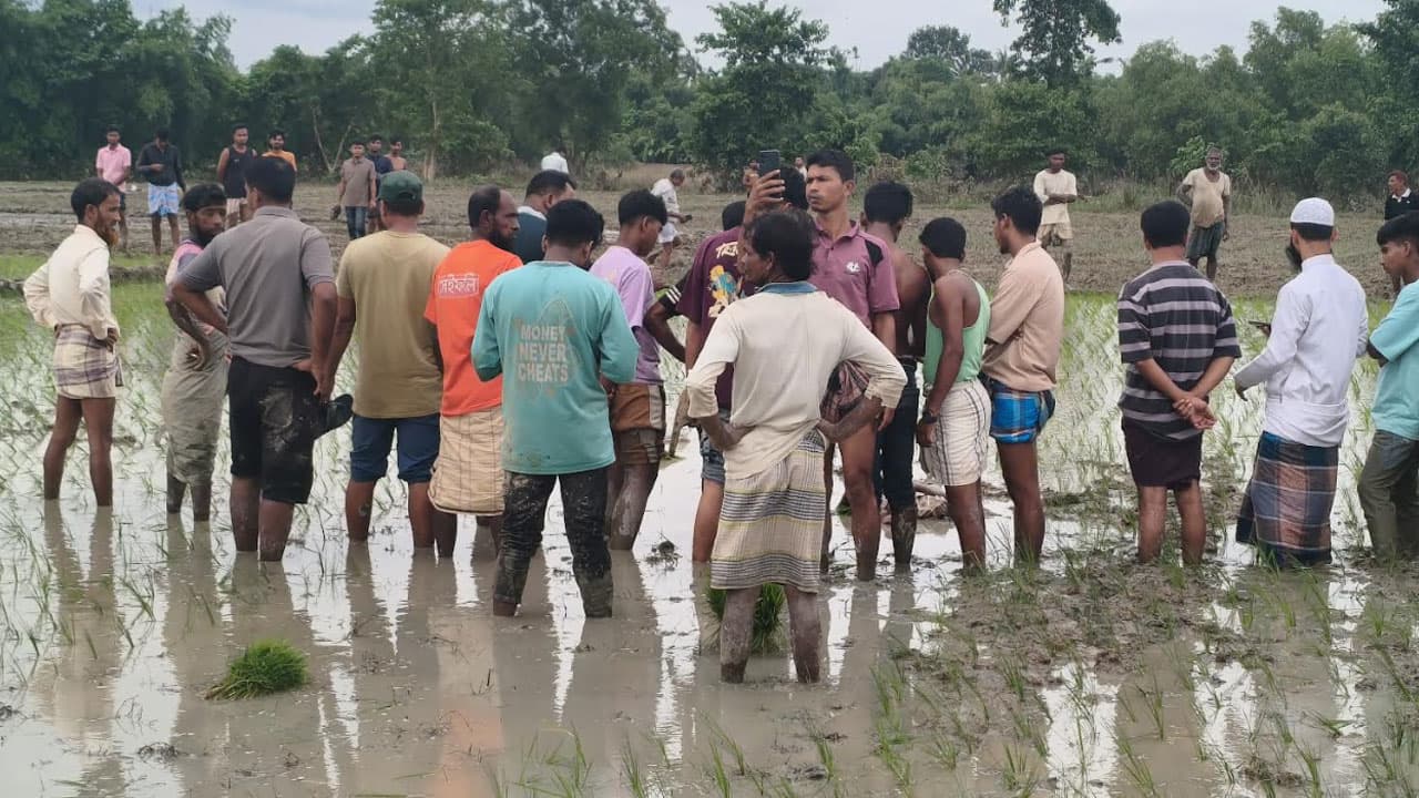 ধানের চারা রোপণের সময় বিদ্যুৎস্পৃষ্টে প্রাণ গেল দুই কৃষকের