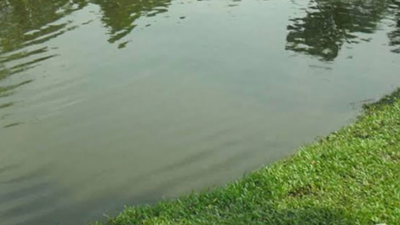 মাগুরায় পুকুরে ডুবে প্রাণ গেল দুই শিশুর