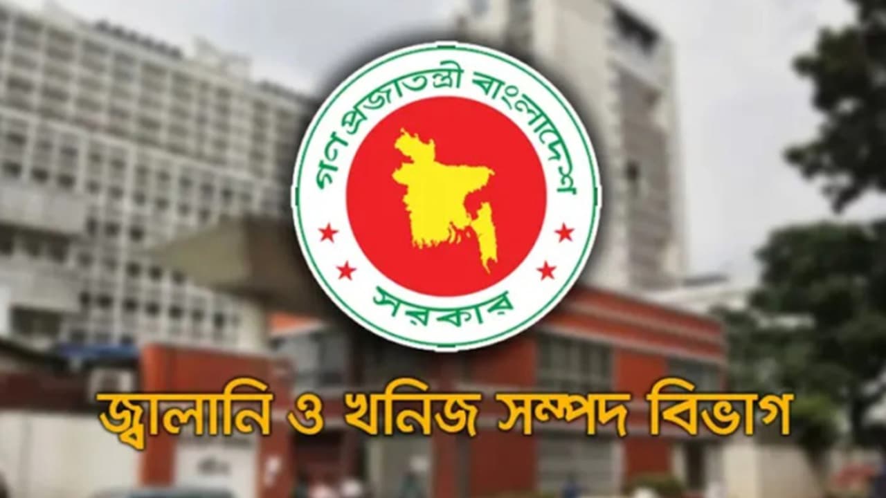 গ্যাস সরবরাহ কবে স্বাভাবিক হবে জানাল মন্ত্রণালয়