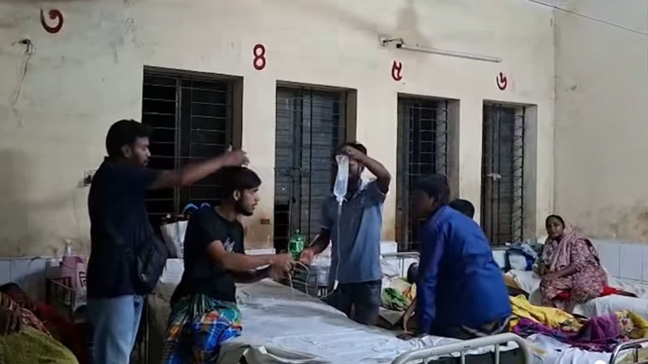 মাছ ধরতে গিয়ে খেলেন ছোবল, মরা সাপ নিয়ে হাসপাতালে যুবক