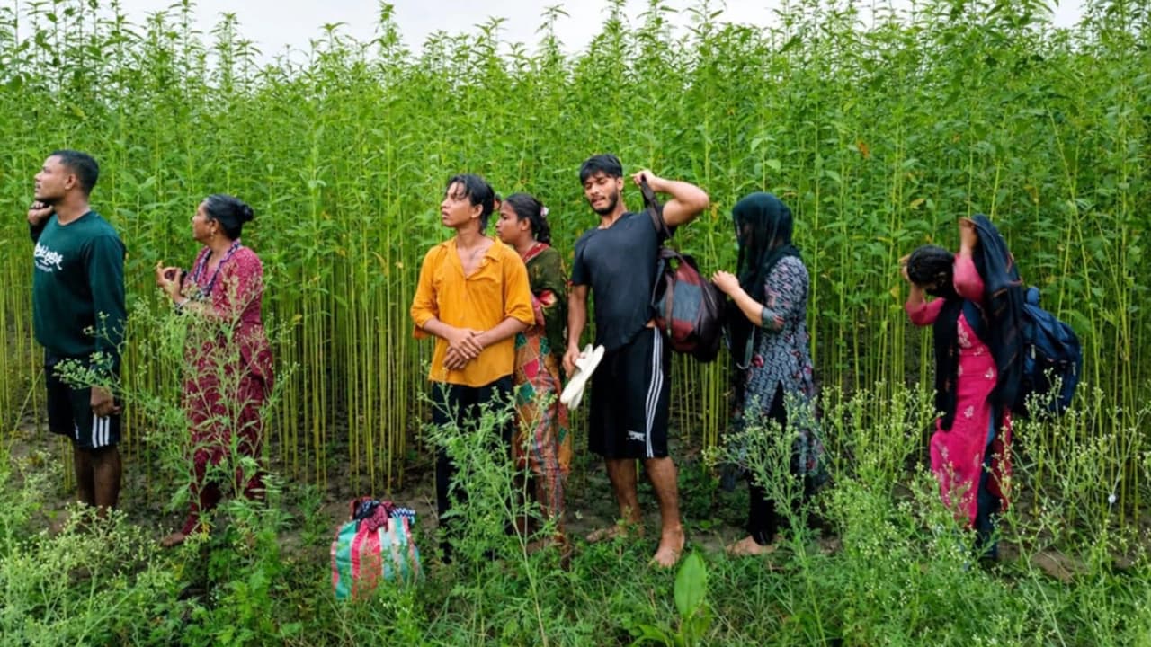 কুষ্টিয়ায় ৮ জনকে পুশ-ইনের চেষ্টা, বিজিবির বাধায় ফিরল ভারতে