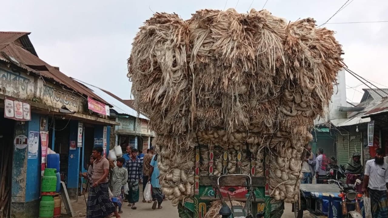 জামালপুরে পাটের বাজারে ‘সোনালি’ দিন