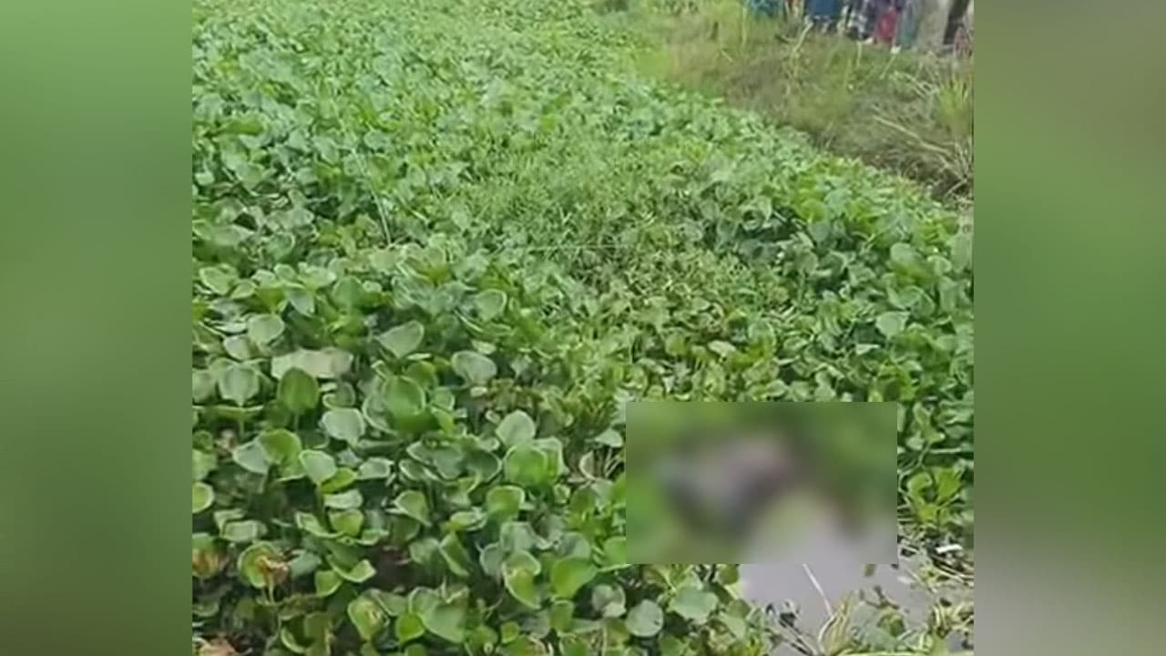 মাছ ধরতে নেমে শিশুদের সামনে ভেসে উঠল লাশ