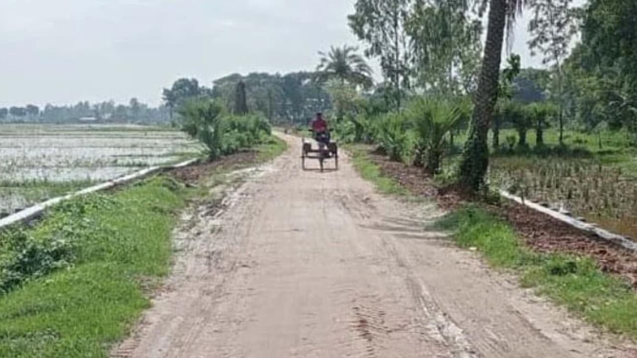 জয়পুরহাট/নিম্নমানের ইটে সড়ক নির্মাণ, নোটিশের এক মাসেও হয়নি অপসারণ