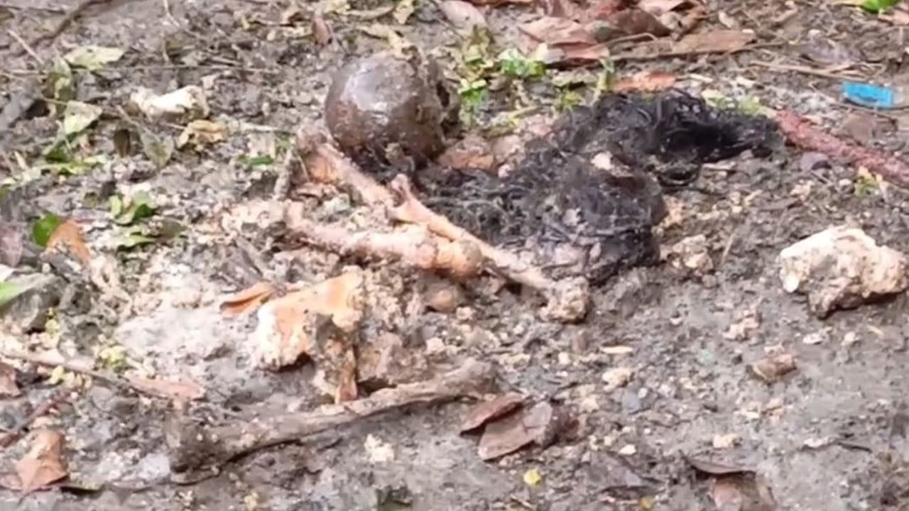 বাথরুমে পাওয়া গেল বস্তাবন্দি কঙ্কালের বিচ্ছিন্ন হাড়, খুলি ও চুল