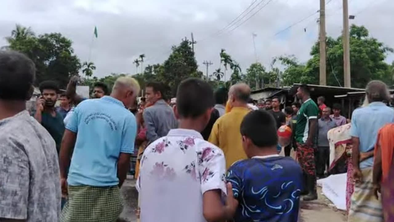 কেনাকাটা করতে গিয়ে ট্রাকচাপায় ২ জনের মৃত্যু