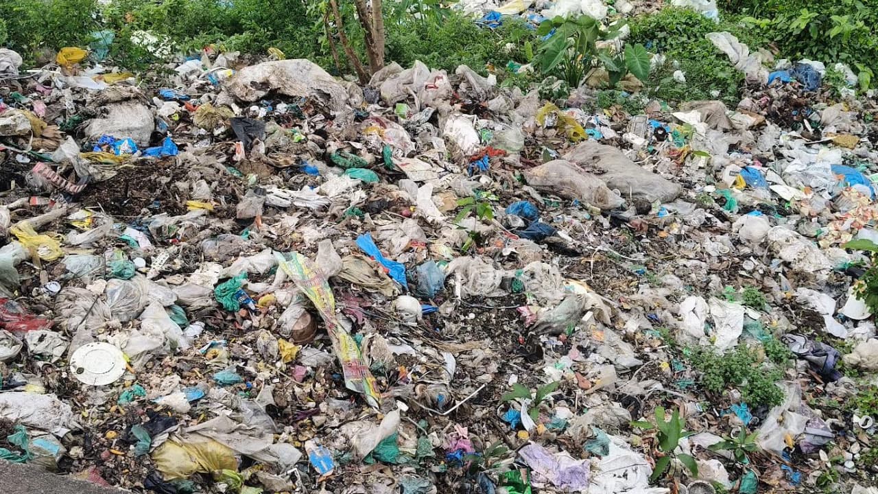 হাজীগঞ্জ পৌর এলাকায় বর্জ্য অব্যবস্থাপনা: স্বাস্থ্যঝুঁকিতে স্থানীয়রা