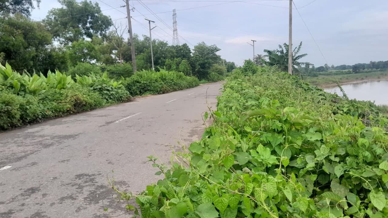 কুমিল্লায় বিবির বাজার সংযোগ সড়ক ঝুঁকিপূর্ণ, সোলার লাইট উধাও