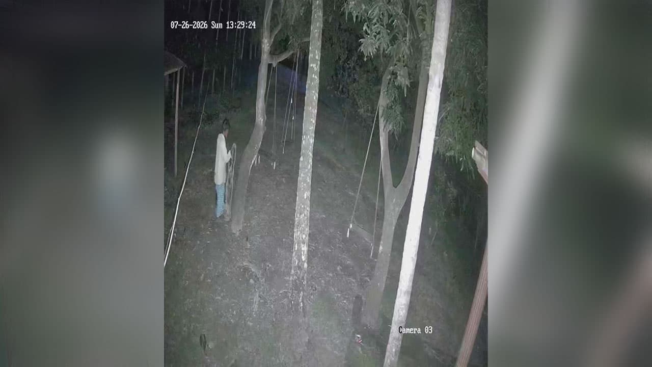 পাবনায় কৃষকের ঝুলন্ত মরদেহ উদ্ধার, সিসিটিভিতে গাছে ওঠার দৃশ্য ধরা পড়েছে