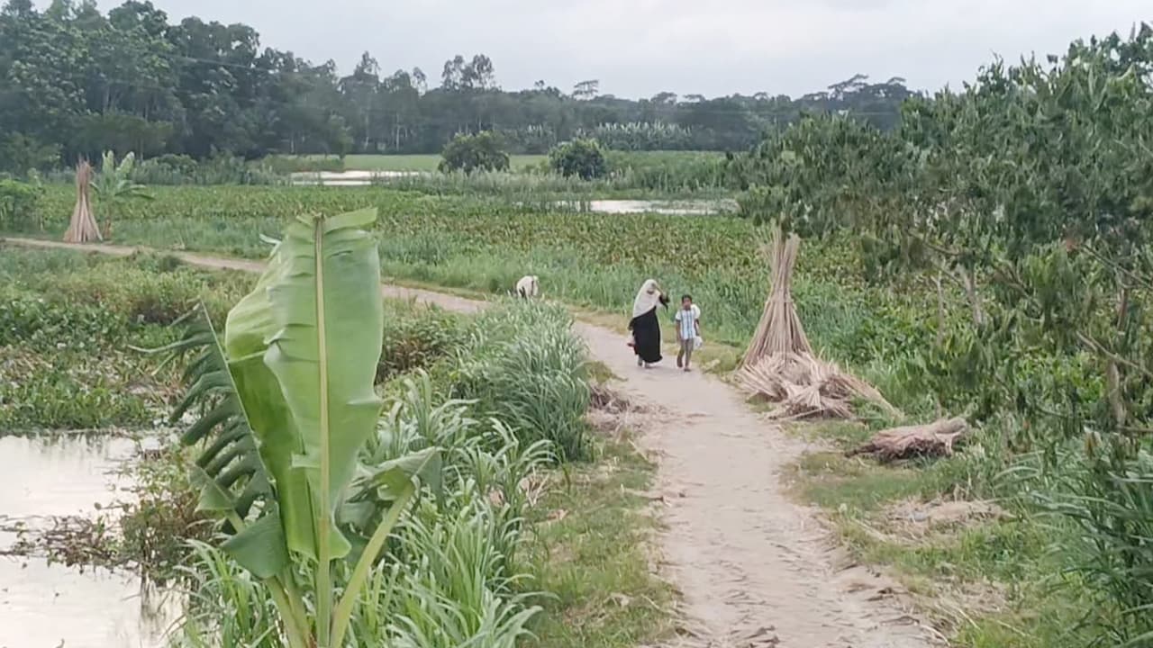 রোগবালাইয়ের স্মৃতি বয়ে চলে মাদারীপুরের ‘বালাকান্দি’ গ্রাম
