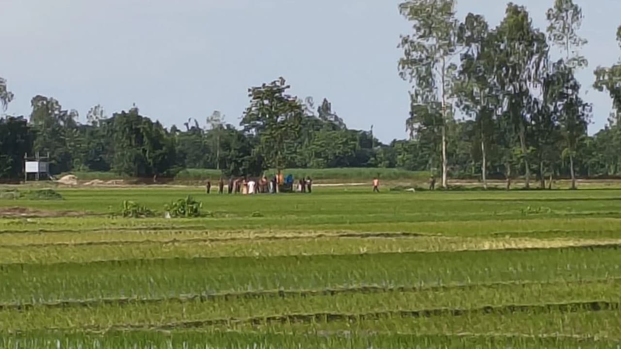 গরু বিক্রি করতে অবৈধ অনুপ্রবেশ, তিন ভারতীয়কে ফেরত পাঠাল বিজিবি