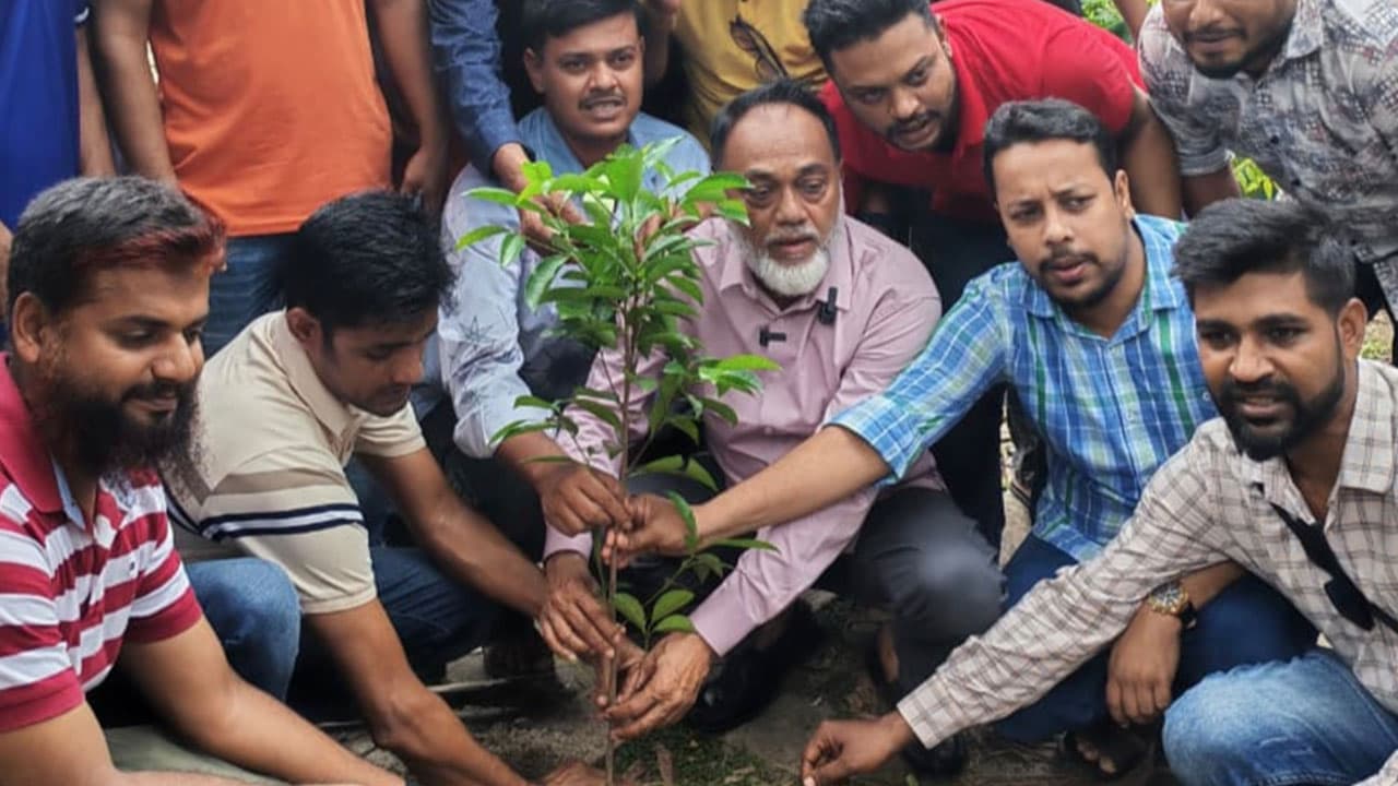 জুলাই আন্দোলনে নিহত ৭৩৪ নেতাকর্মীর স্মরণে পিরোজপুরে বৃক্ষরোপণ বিএনপির