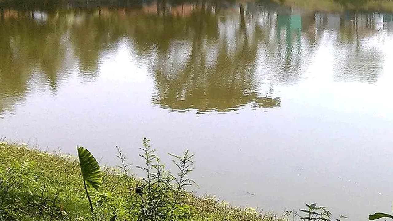 মিঠামইনে পুকুরে ডুবে ভাই-বোনের মৃত্যু