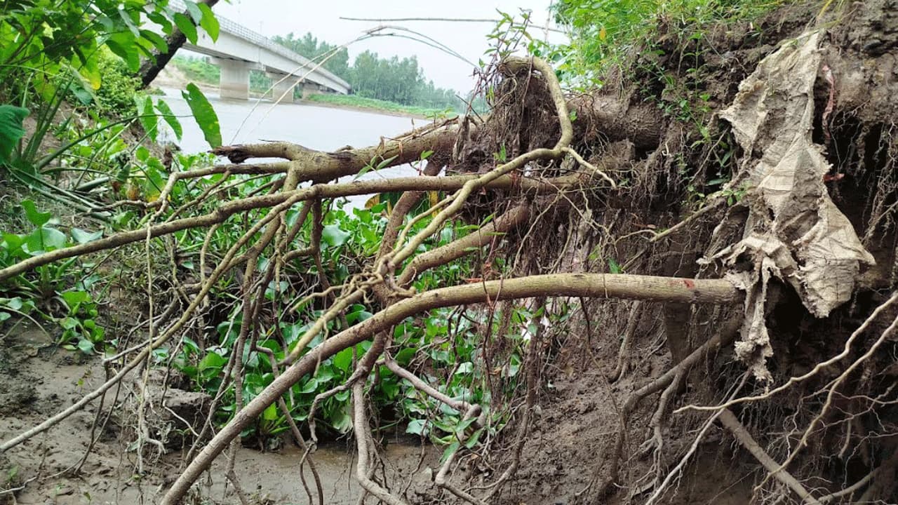 গাইবান্ধায় নদীভাঙনের মুখে ২৮ কোটি টাকার ত্রিমোহনী সেতু