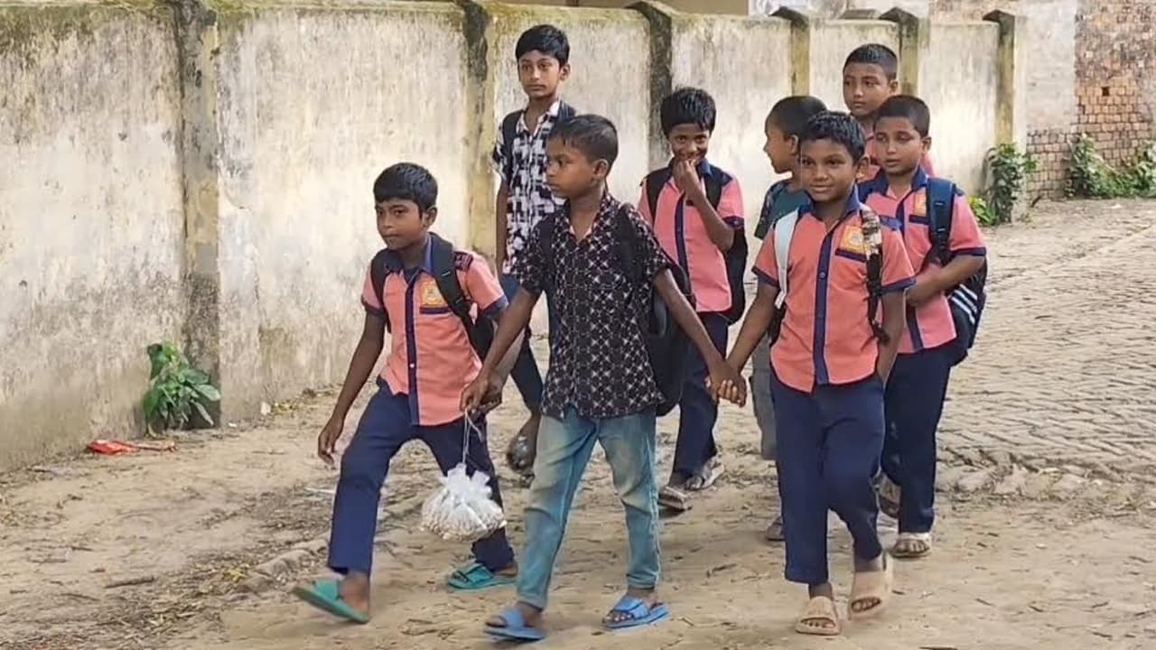 মেহেরপুরে অভাবের তাড়নায় বাদাম বিক্রি করে সংসার সামলাচ্ছে দ্বিতীয় শ্রেণির শিক্ষার্থী মাহিম