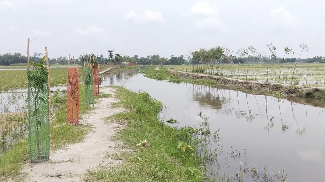 নির্ধারিত সময়ে শেষ হয়নি কাজ, প্রায় কোটি টাকা ফেরত দিলেন ইউএনও