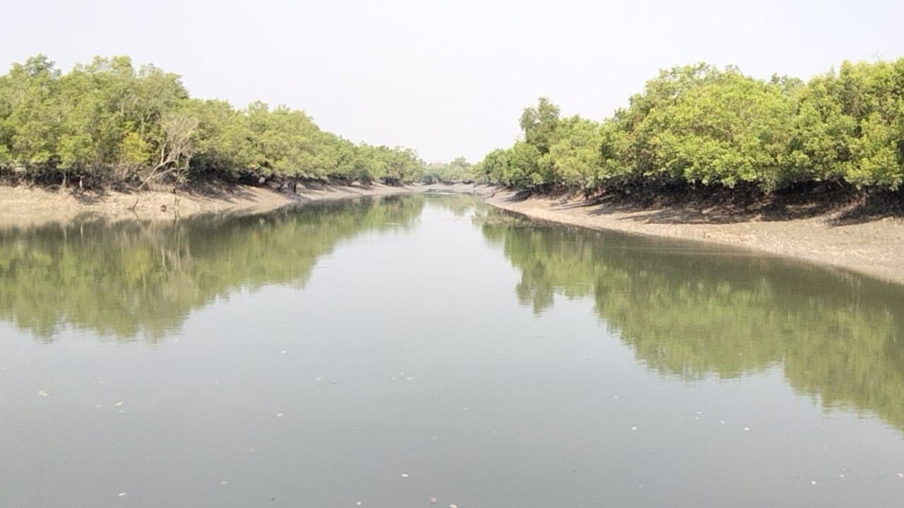 সুন্দরবনে প্রবেশ নিষেধাজ্ঞা: চরম সংকটে কয়রার ১২ হাজার বনজীবী পরিবার