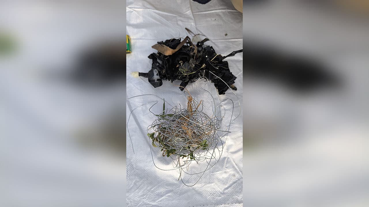 আশুলিয়ায় দোকানের সামনে থেকে বোমাসদৃশ বিস্ফোরক উদ্ধার ও নিষ্ক্রিয়