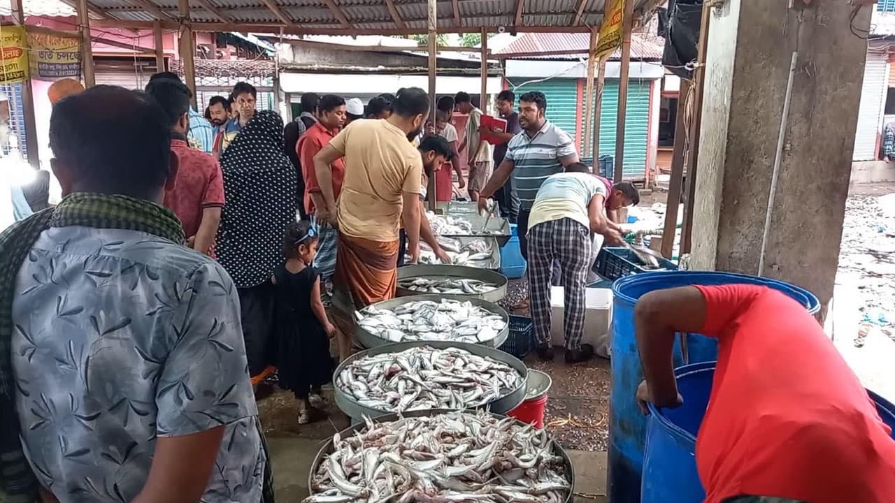 মাদারীপুরে দেশি মাছের সংকট, সাধারণের নাগালের বাইরে দাম