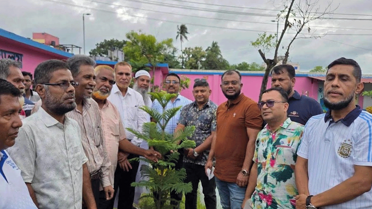 পরিবেশ রক্ষায় বৃক্ষরোপণের বিকল্প নেই: ইউসুফ মোল্লা টিপু