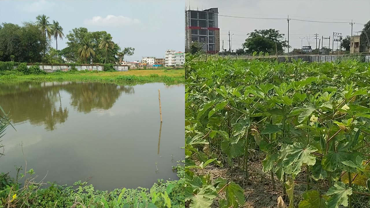 ময়মনসিংহ তিতাস কার্যালয়ে সরকারি জমিতে ব্যক্তিগত চাষাবাদ ও নথি জালিয়াতির অভিযোগ