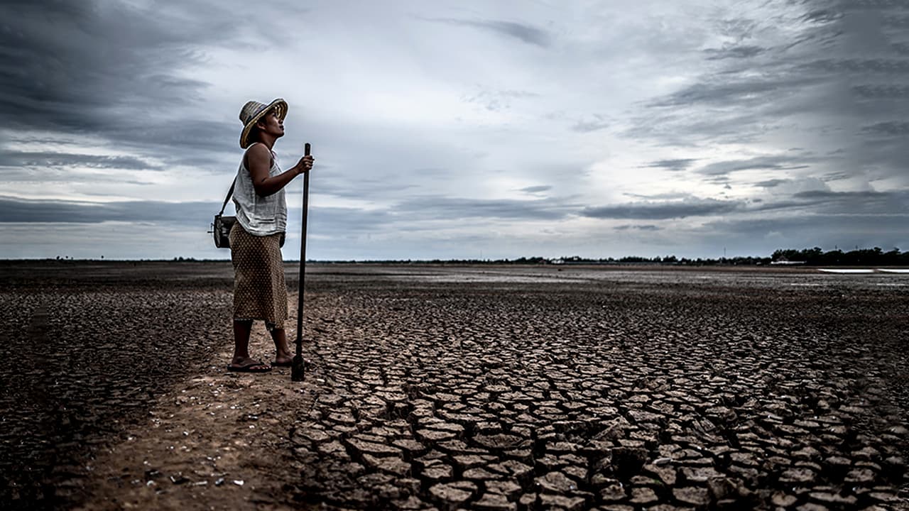 বিশ্বজুড়ে চরম আবহাওয়ার ঝুঁকি: জাতিসংঘের সতর্কবার্তা