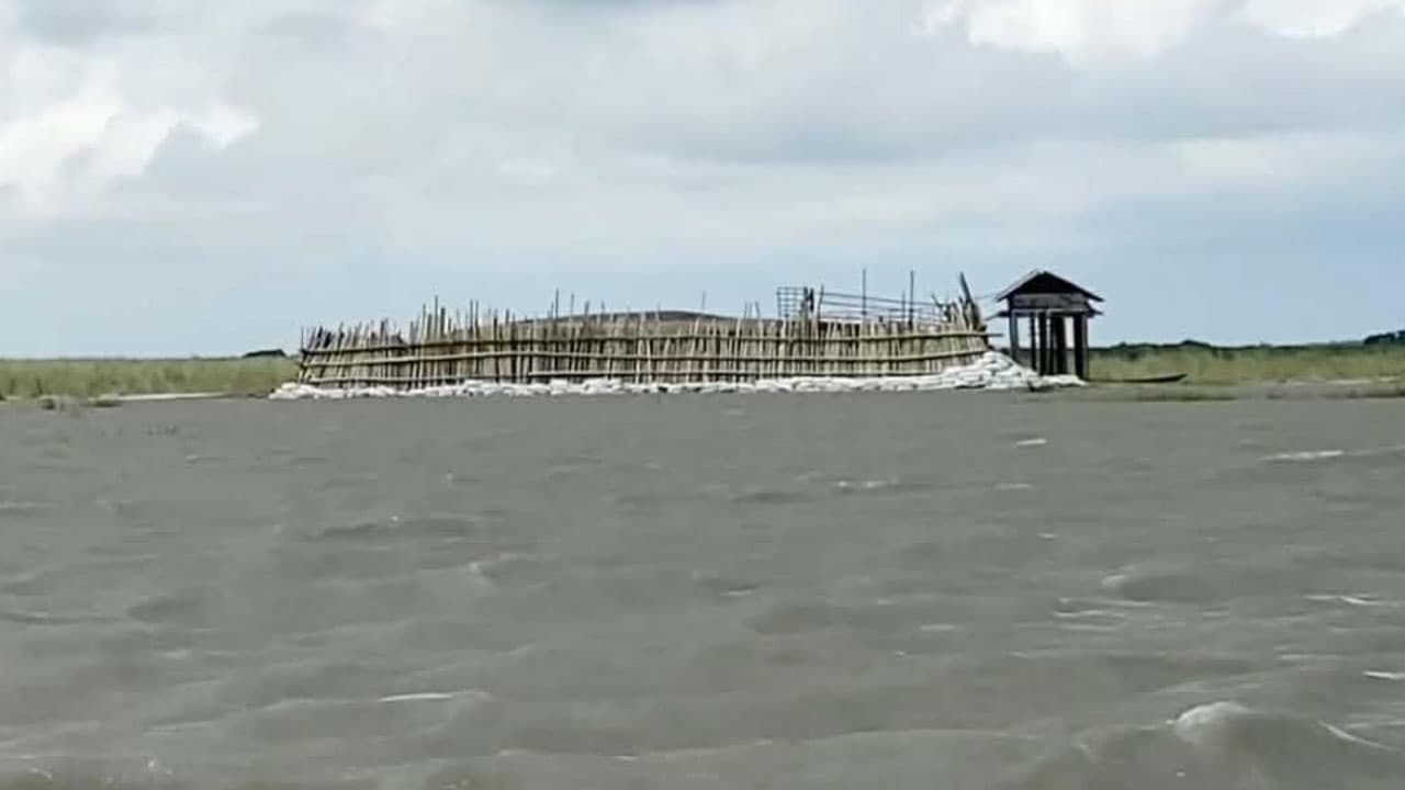 লক্ষ্মীপুরে মেঘনার চরে গরু-মহিষ চুরির সিন্ডিকেটের তৎপরতা