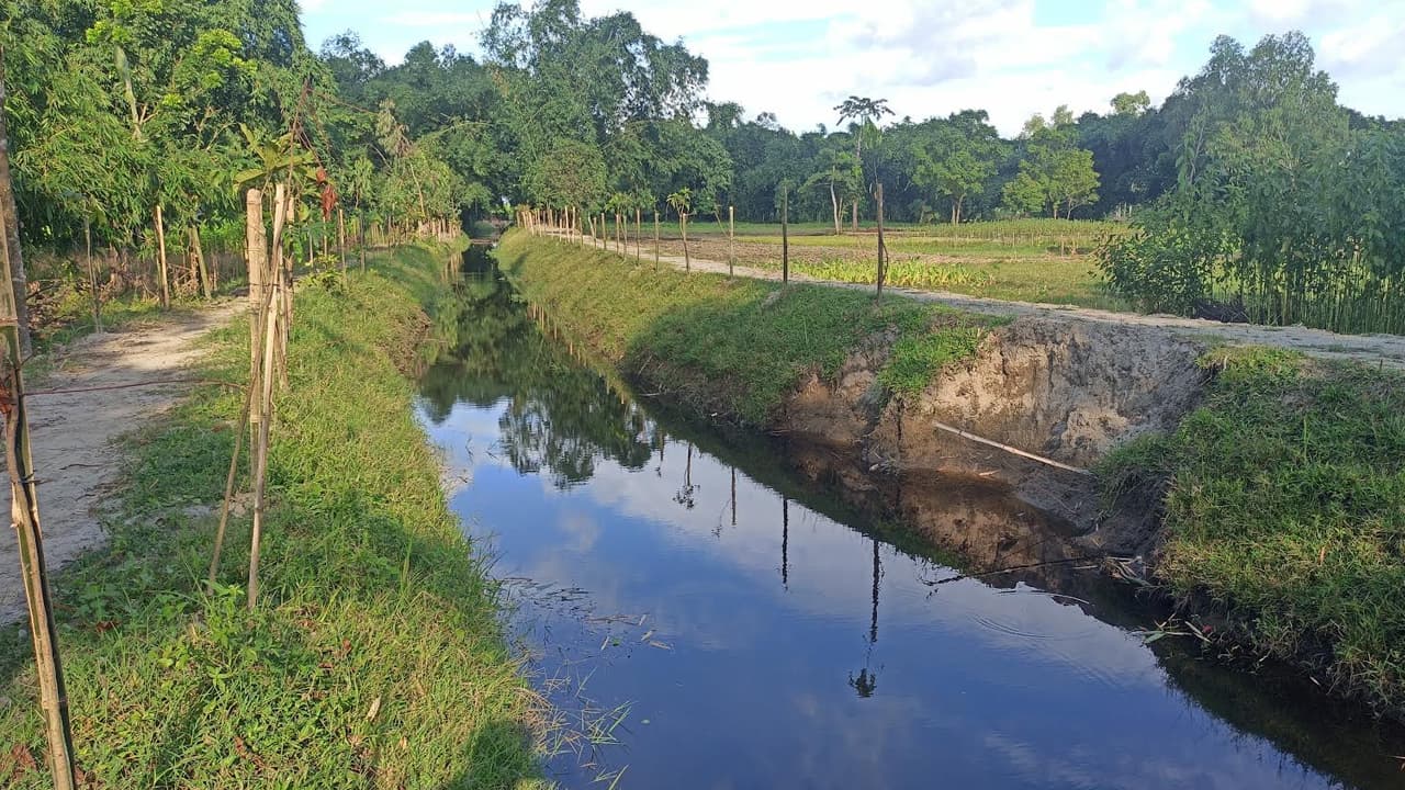 পঞ্চগড়ে খাল খননে অনিয়ম/দুই হাজারের পাইপ ১৩ হাজার, গাছপ্রতি খরচ ৬৭৯