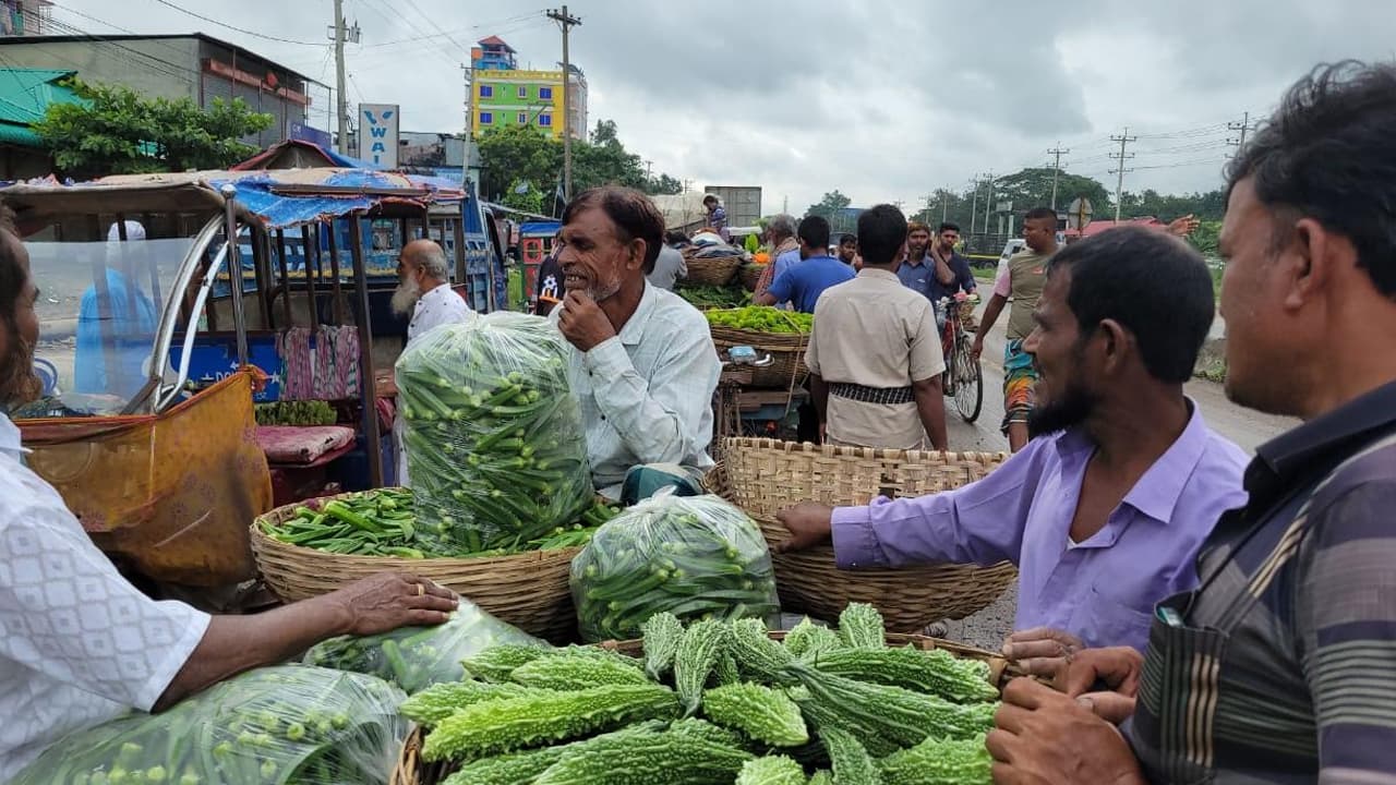 নরসিংদীতে টানা বৃষ্টিতে সবজি খেত ক্ষতিগ্রস্ত, বাজারে দাম বৃদ্ধি