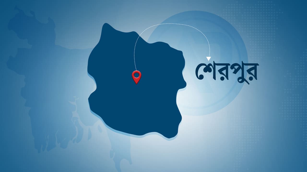 বগুড়ায় দাঁড়িয়ে থাকা ট্রাকে বাসের ধাক্কায় ২ মৃত্যু