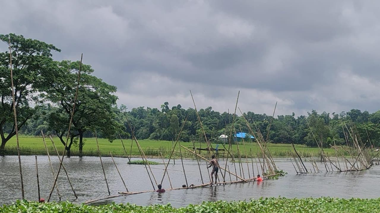 ফেনীর নদী-খালে নিষিদ্ধ রিং জালের দাপট, হুমকির মুখে দেশীয় মাছ