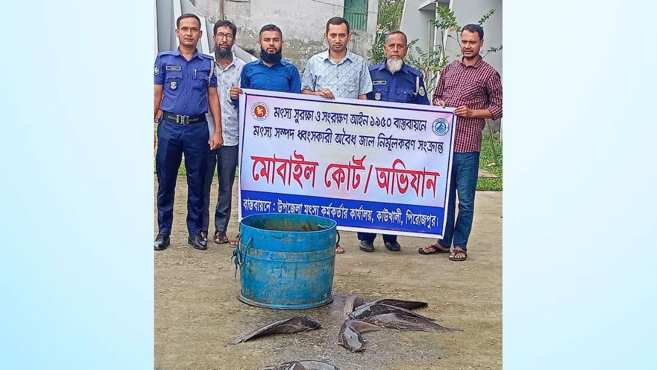 কাউখালীতে ৩০ কেজি নিষিদ্ধ আফ্রিকান মাগুর জব্দ, এতিমখানায় বিতরণ
