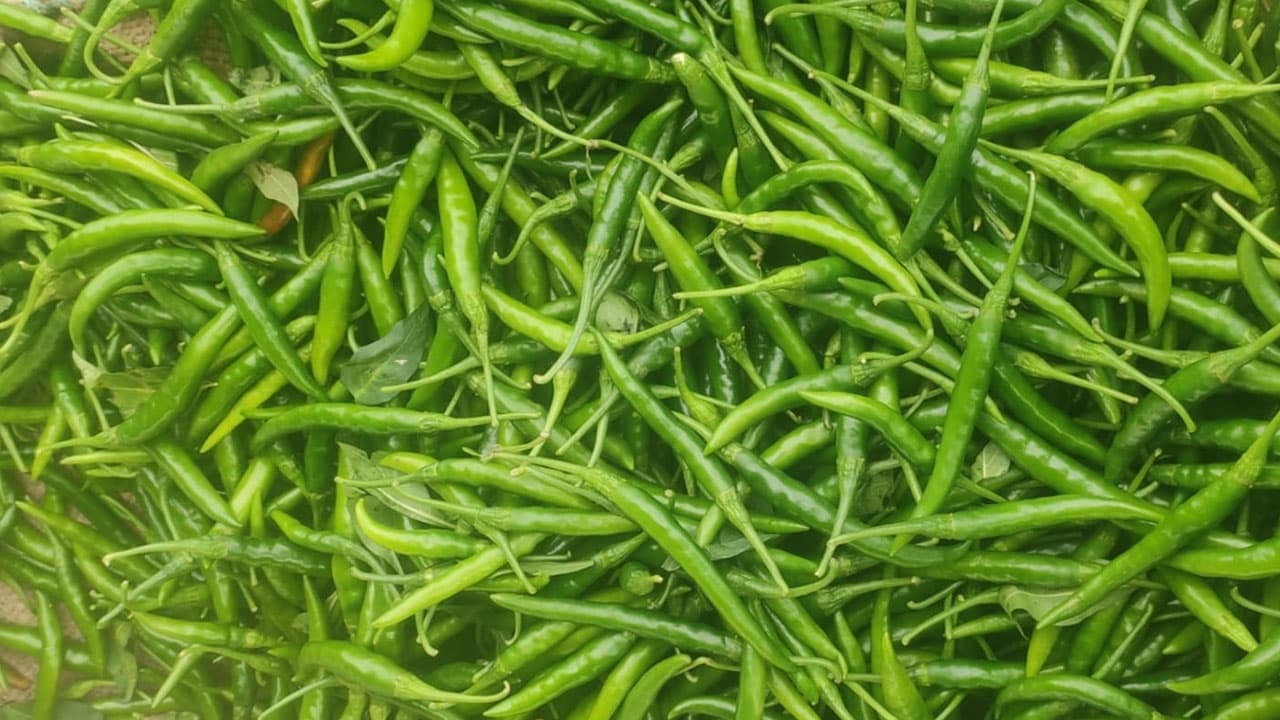 ৯ মাস পর ভারত থেকে কাঁচামরিচ আমদানি শুরু