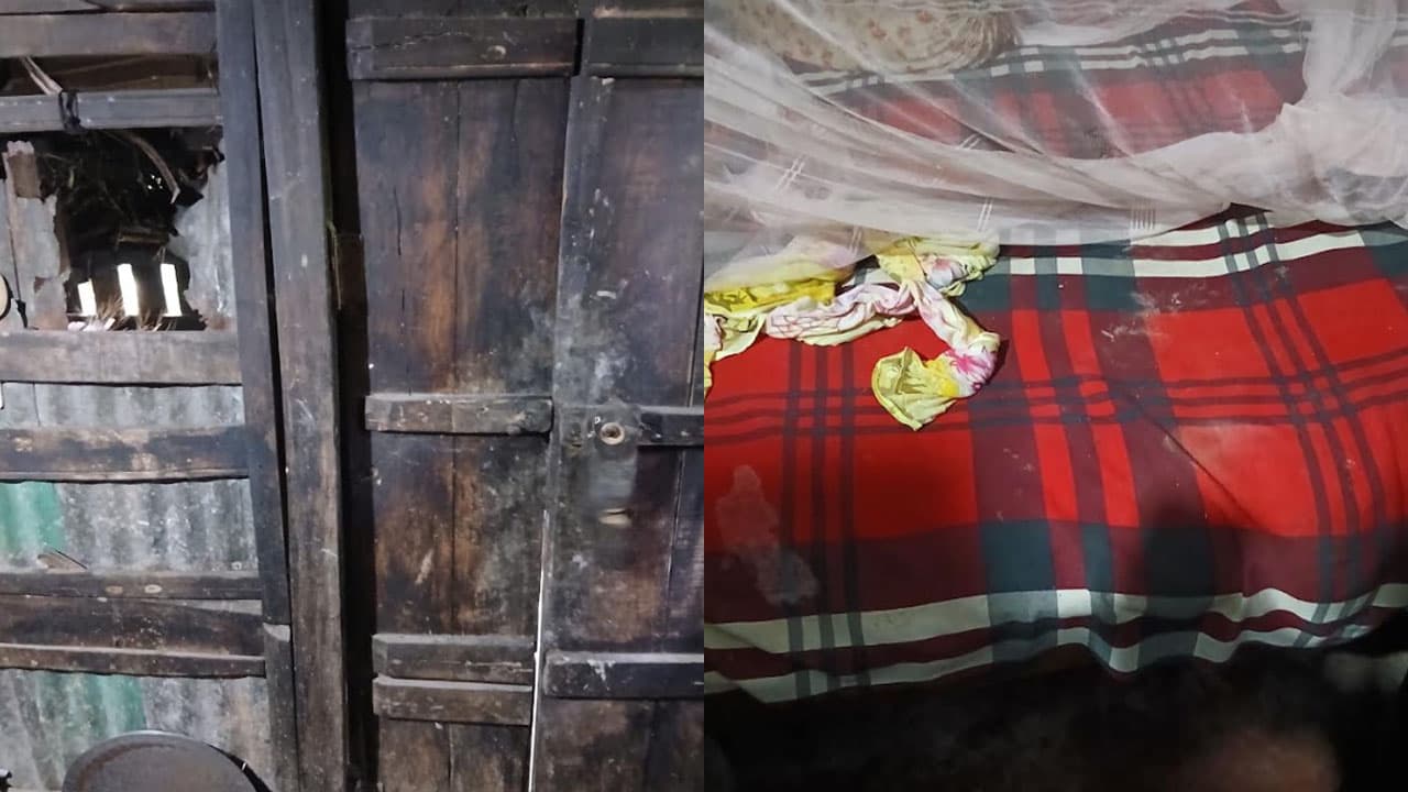 চোরকে কামড়ে আঙুল বিচ্ছিন্ন করলেন গৃহবধূ, মোবাইল নিয়ে পলায়ন