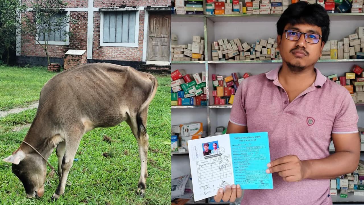 ঠাকুরগাঁওয়ে এনজিও কর্মীর বিরুদ্ধে গ্রাহকের বাড়ি থেকে গরু ছিনিয়ে নেওয়ার অভিযোগ