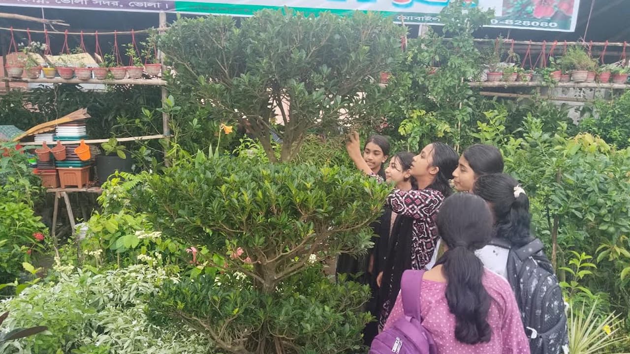 ভোলার বৃক্ষমেলায় প্রধান আকর্ষণ ২৫ বছরের বনসাই, দাম চাওয়া দেড় লাখ টাকা