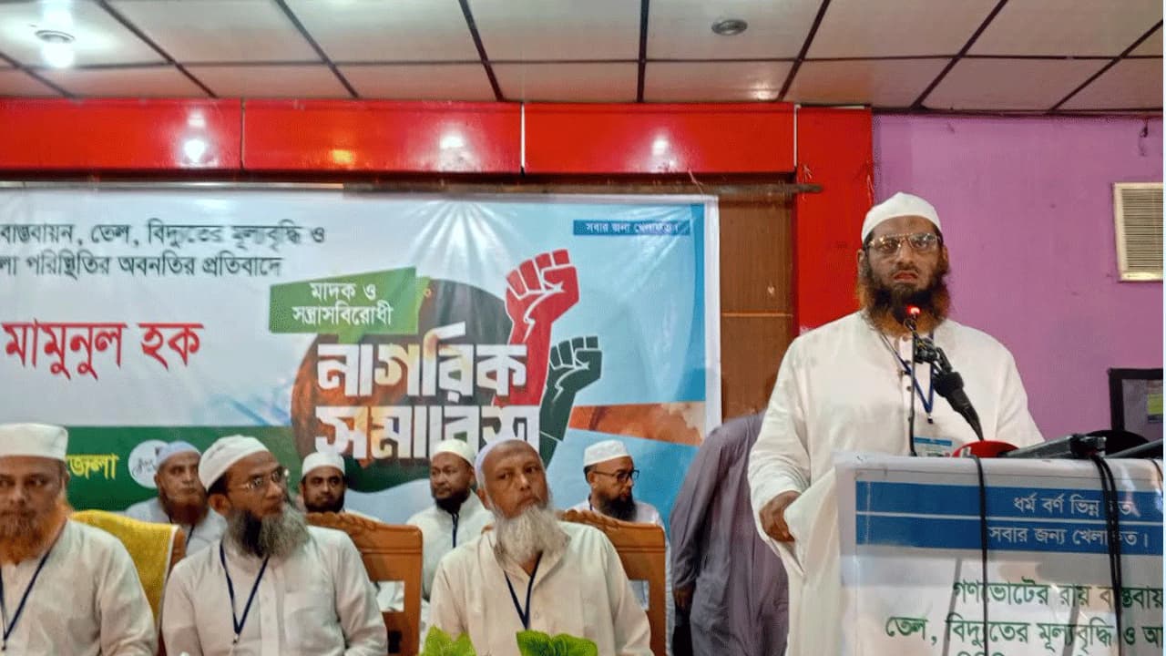 দেশকে সংঘাতের দিকে ঠেলে দিচ্ছে সরকার: মামুনুল হক