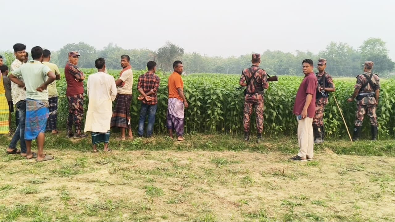 মেহেরপুরে বিএসএফ-এর পুশইন চেষ্টা, বিজিবির প্রতিরোধে ব্যর্থ