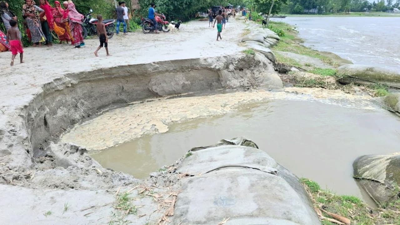 নীলফামারীতে তিস্তার প্রধান বাঁধে নতুন করে ভাঙন, ঝুঁকিতে জনবসতি