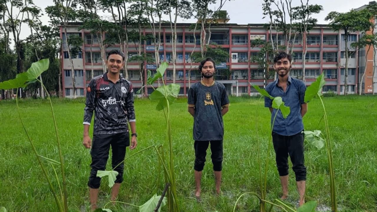 বিএম কলেজে মাঠ সংস্কারের দাবিতে শিক্ষার্থীদের প্রতীকী প্রতিবাদ, মাঠে লাগালেন কচুগাছ