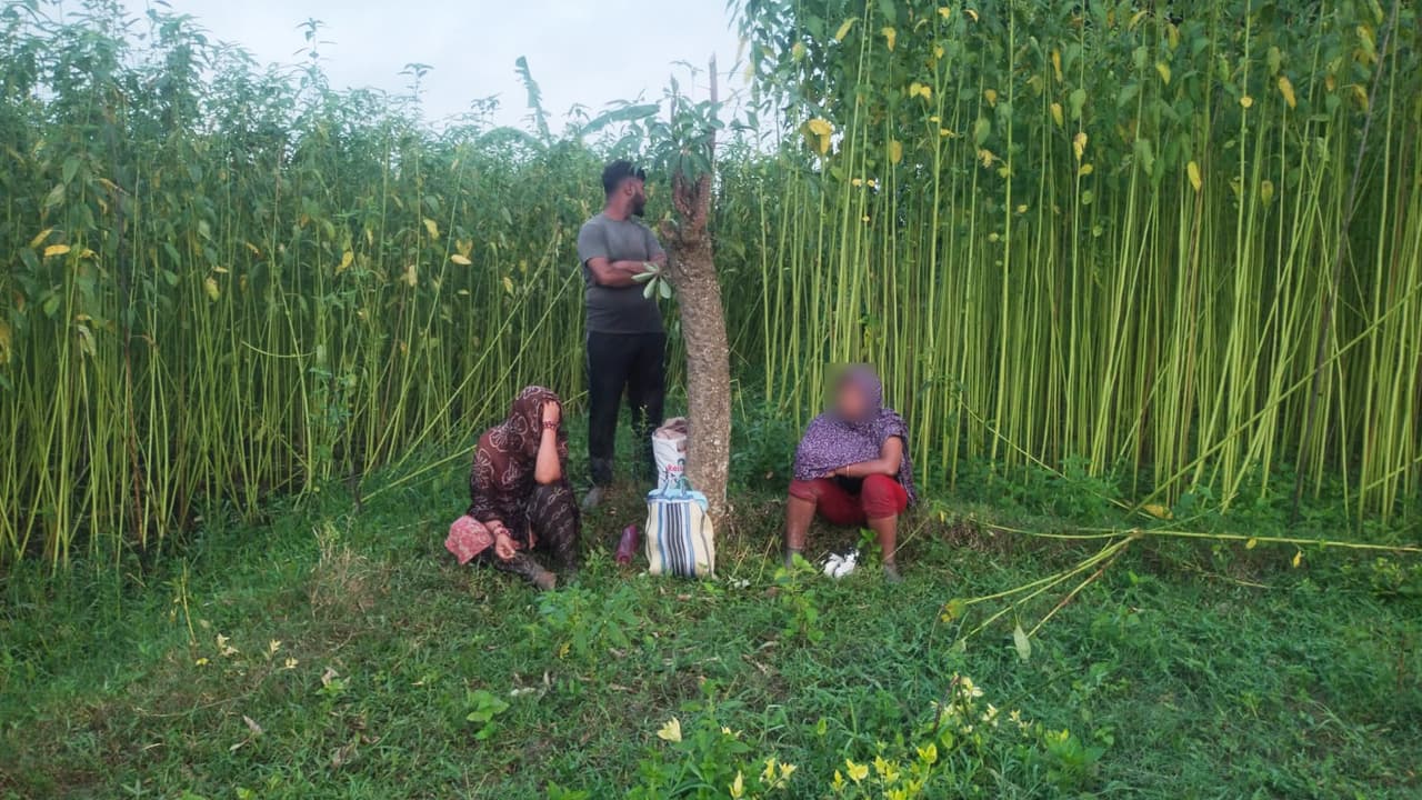 চুয়াডাঙ্গায় বিএসএফ-এর পুশইন চেষ্টা প্রতিহত করল বিজিবি