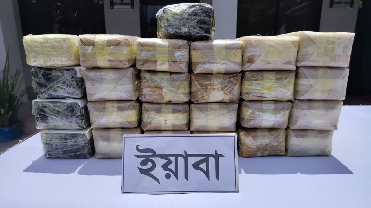 সীমান্তে বিজিবির পৃথক অভিযানে ৬ লাখ ইয়াবা ও বিদেশি পিস্তল উদ্ধার, আটক ২