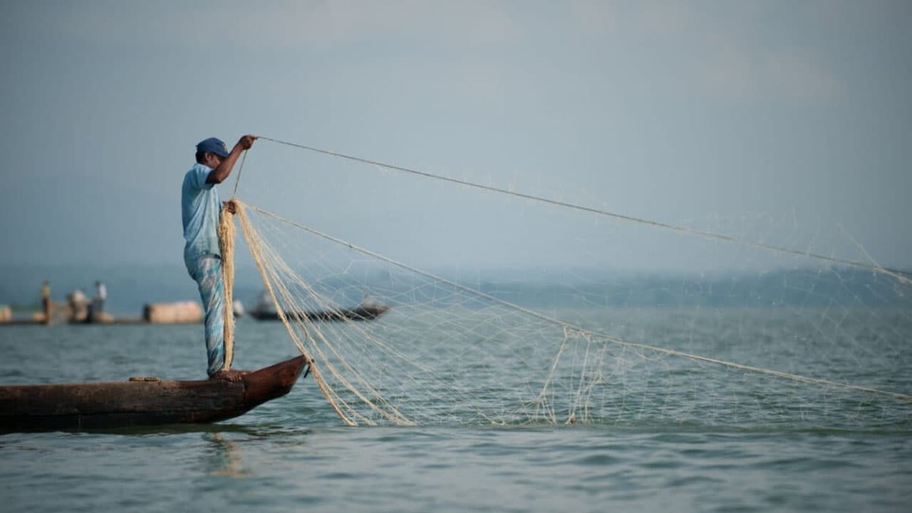 ১০৫ দিন পর কাপ্তাই হ্রদে মাছ ধরা শুরু: ফিশারি ঘাটে ফিরেছে প্রাণচাঞ্চল্য