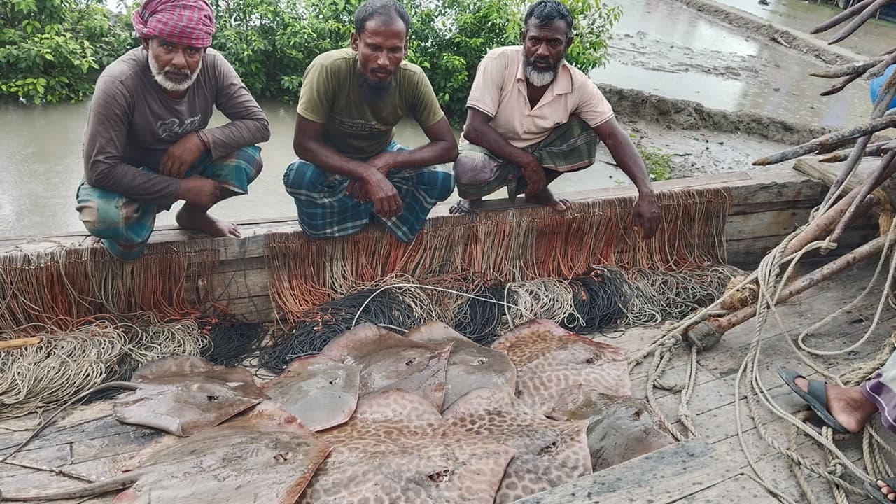 সুন্দরবনে নিষিদ্ধ শাপলাপাতা মাছসহ ৬ জেলে আটক