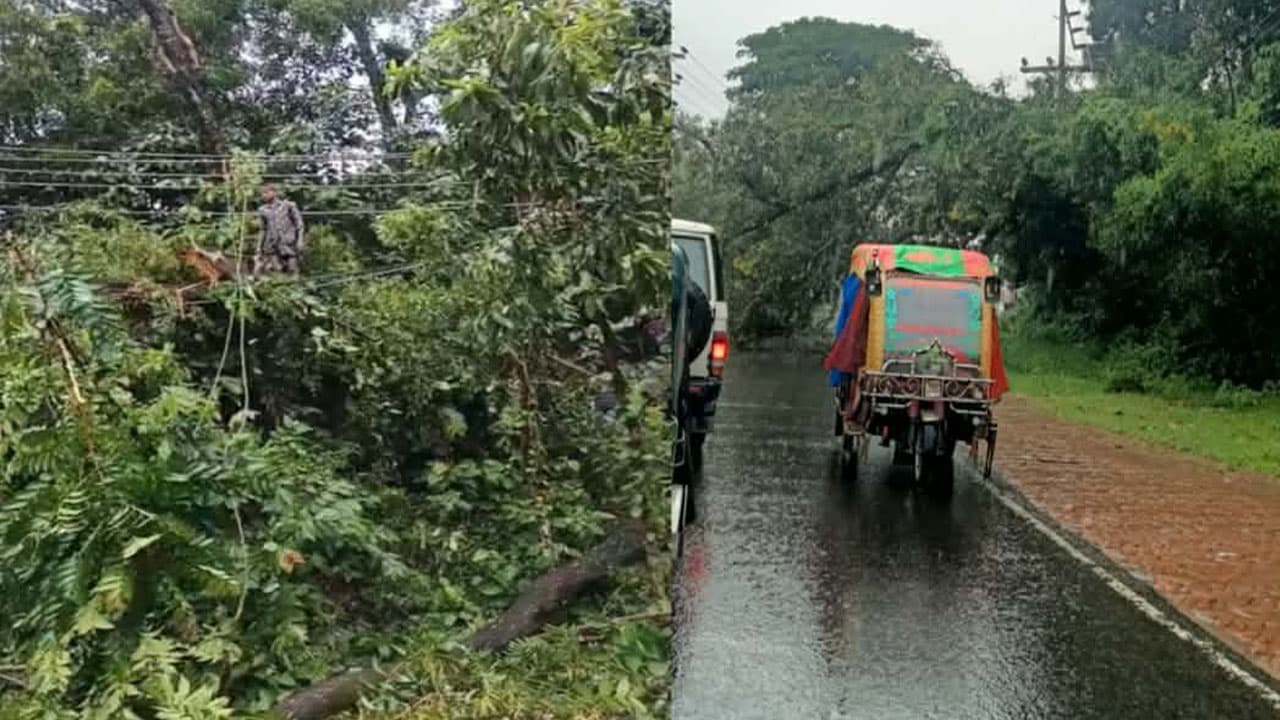 গাছ উপড়ে ক্ষতিগ্রস্ত বক্সপোল, উখিয়া ও টেকনাফে বিদ্যুৎ বিপর্যয়