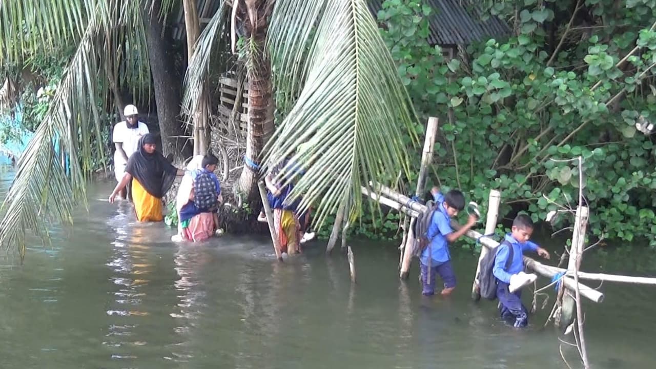 বাগেরহাটে কালভার্ট থাকলেও নেই সংযোগ সড়ক, কোমরসমান পানিতে যাতায়াত