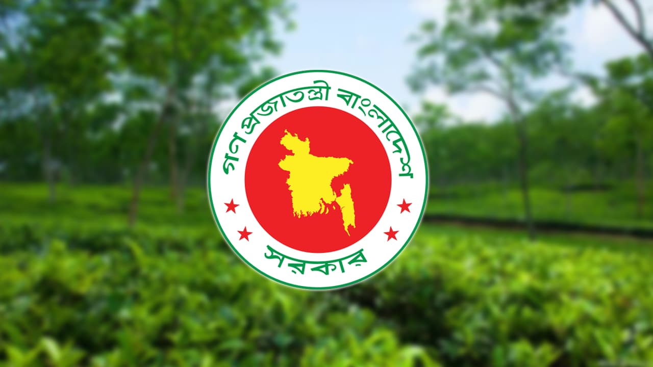 চা শিল্পের উন্নয়নে ১২ সদস্যের পর্যবেক্ষণ ও পরামর্শক কমিটি গঠন