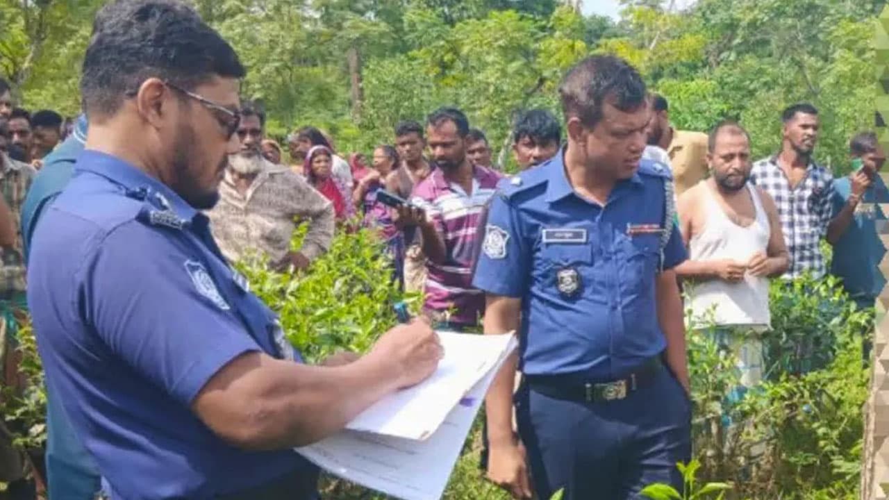 রাজনগরে চা বাগানের গাছে নবদম্পতির ঝুলন্ত মরদেহ উদ্ধার